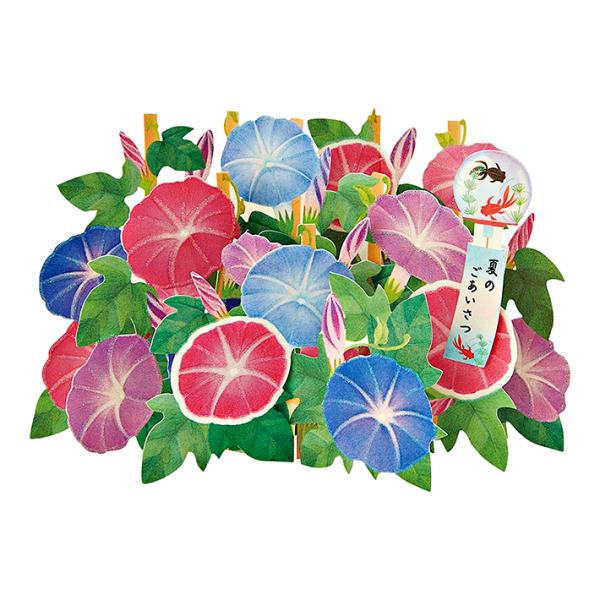 net-shibuya_4550337111109-sro