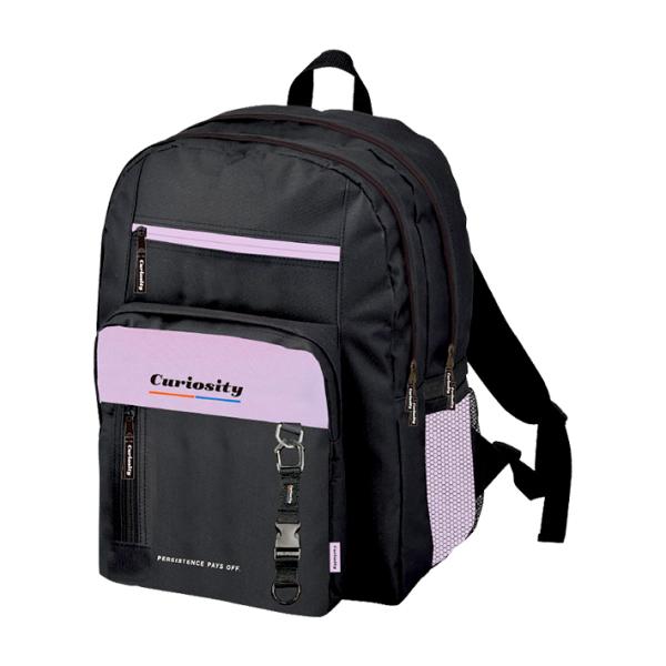 CRUX 2層Dパックリュック 27L パープル 107455 : シブヤ文具 CRUX 2層Dパックリュック 27L パープル 107455 : シブヤ文具