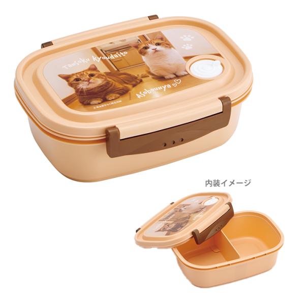 スケーター 茶太郎ときなこ ラク軽弁当箱 Lサイズ 720ml XPM5 [M