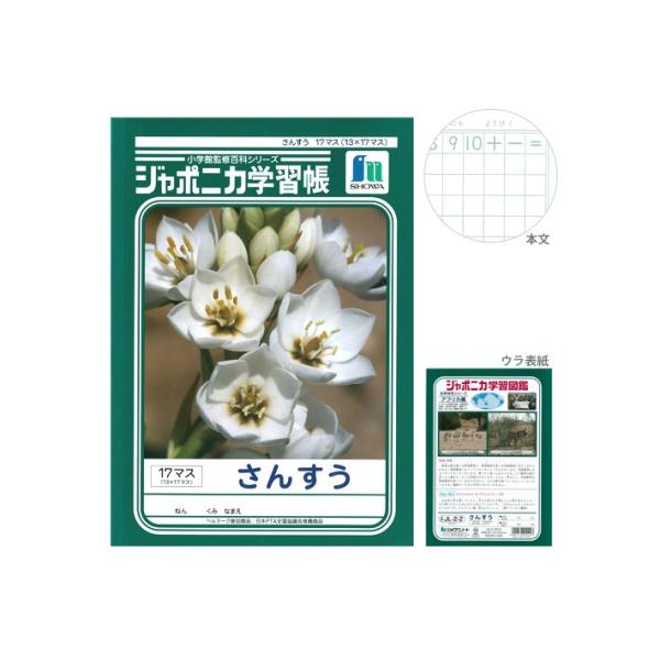 W|jJwK@񂷂@17}X@B5@4901772010227@[M 1/5]