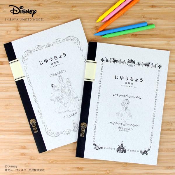fBYj[vZX@ȃvZX\tBA@com[g@B5@R@SD-TN00@ [M 1/7]@[disneyzone]