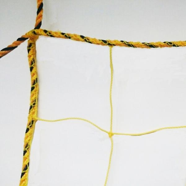 WlbgiCG[j100mmځ@L߁@̓g[v