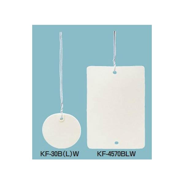 �����H�� KF-30BW �J���[�G�t�i�o�C���h���t�j�v���X�`�b�N���E�����D �ی` ��30mm ��  20���� [������s��]