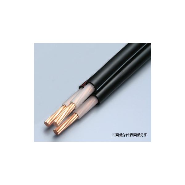 �t�W�N���i�Z�dHST�j 600V CVT60 600V�ˋ��|���G�`�����≏�r�j���V�[�X�P�[�u�� �P�S3��� 60����mm �؂蔄��  [������s��]