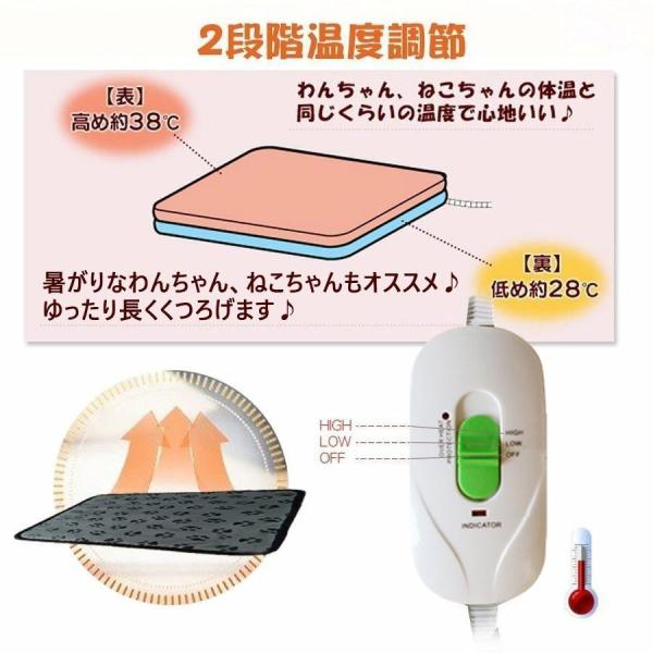 netdirect_pet-4023-ss_4_d_20230209125448