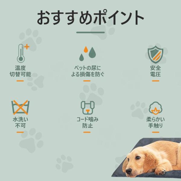 netdirect_pet-6226_1_d_20250925171620