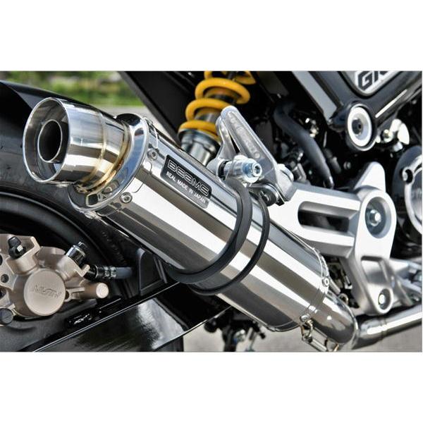 BEAMS R-EVO XeXTCT[ {F tGL][Xg}t[ G1001-53-008 O 2BJ-JC92