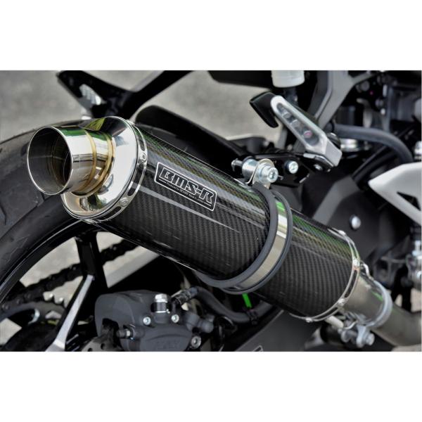 BEAMS（ビームス） BEAMS R-EVO カーボン Ninja250 2022〜 8BK-EX250Y