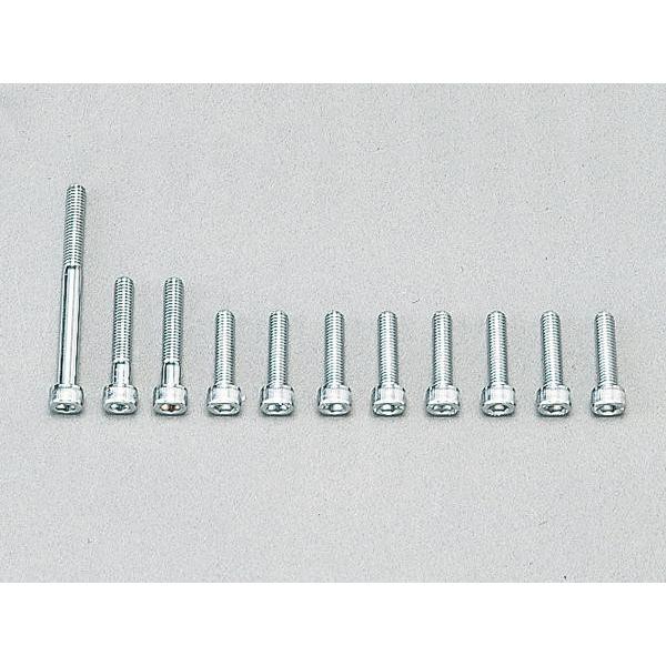 DAYTONA（デイトナ） ケースカバースクリューキット YAMAHA系用