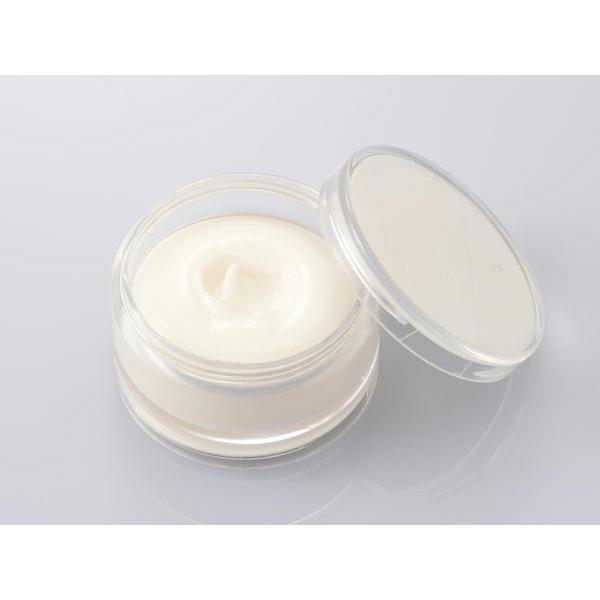 【あき】 DAYTONA（デイトナ） グリスさん シリコングリス 10g : ネトセトラ