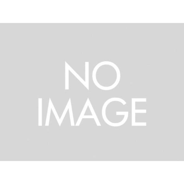 DAYTONA fCgi GIVI PL3104 pjAz_[ XJCEFCu 650LX '13`'16