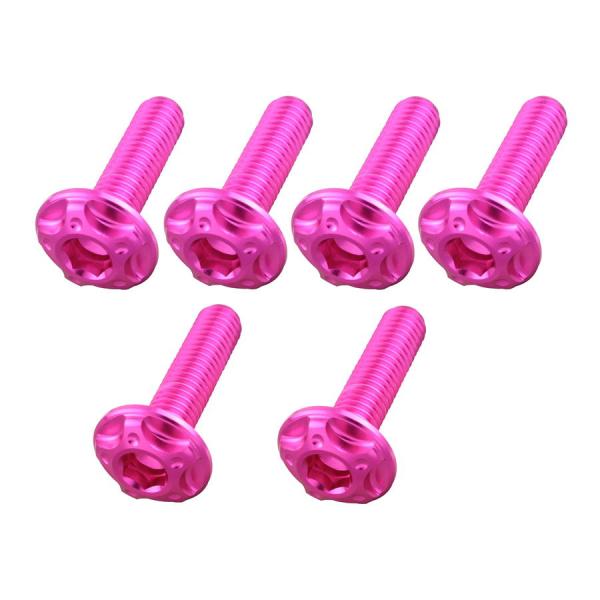 ポッシュフェイス POSHFaith ビレットスクリーンボルトセット M5×18mm 4本/M5×20mm 2本 ZRX1200DAEG 2009-2016 ピンク