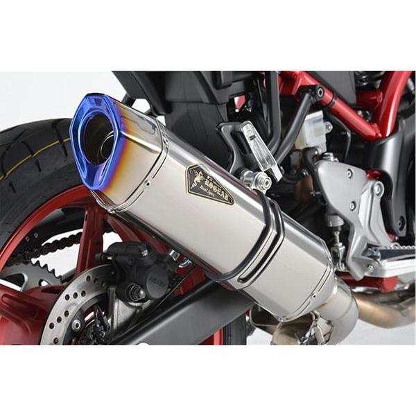 A[YMA r's gear AXybN XbvI `^|bV SV650/X ABS '17`