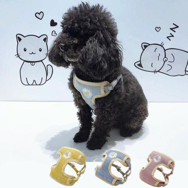 犬 ハーネス リード ペット用品 胸背 けん引ロープ2点セット ペットウェア 花柄 かわいい 犬用品 ネコ お散歩ハーネス S-M メール便OK 【a023】【送料無料】