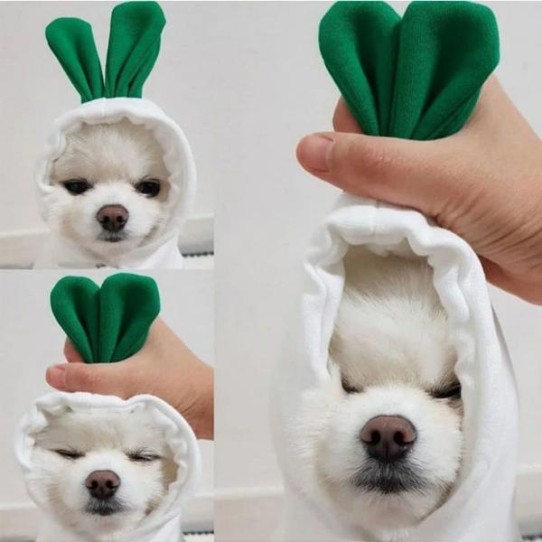 【最終値下げ】カラフルで暖かいドッグウェア クリスマス仮装 コスプレ ペット服 超小型犬・小型犬用 秋冬 防寒 パーカー【a091】【送料無料】