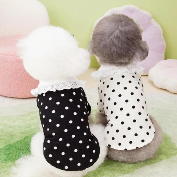 新作 超可愛い 秋服 犬服 小型犬 水玉 ドット柄 おしゃれ モノトーン レース 襟付 半袖 ペアコーデ 春トップス【a366】【送料無料】