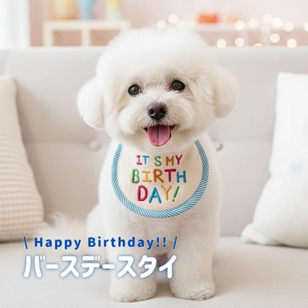 犬服 バースデースタイ 小型犬 ドッグウェア 犬用 誕生日 お祝い 猫 記念撮影 ペット用 スタイ 刺繍 バースデー 撮影用 ギフト 【a482】