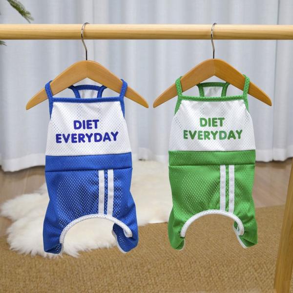 犬服 ロンパース メッシュ 夏 つなぎ カバーオール 小型犬 ブルー グリーン 【a527】