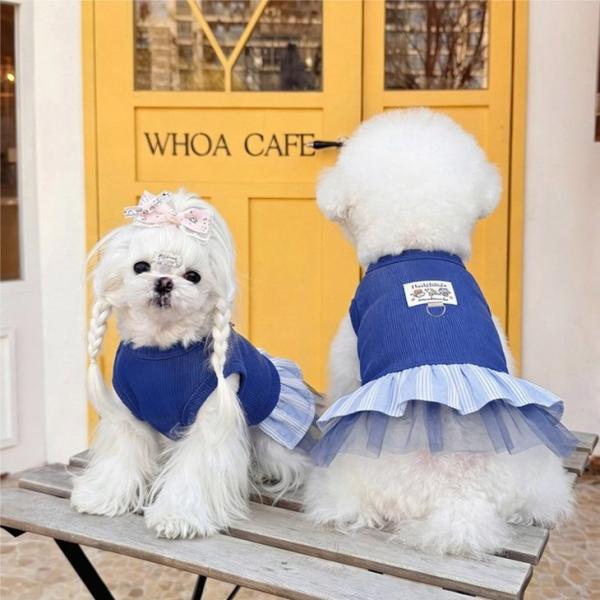 犬服 ワンピース Dカン ハーネス一体型 フリル チュール チュールスカート ロイヤルブルー ブルー リブニット キャミ ノースリーブ 春夏 夏服 女の子 【a531】