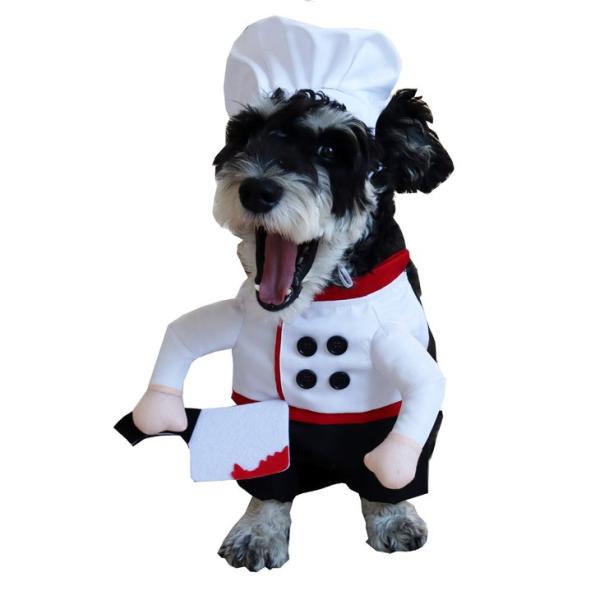 犬 コスプレ シェフ ペット服 ハロウィン 仮装 コック帽 白衣 エプロン シェフ風 犬猫兼用 撮影 パーティー イベント【a574】