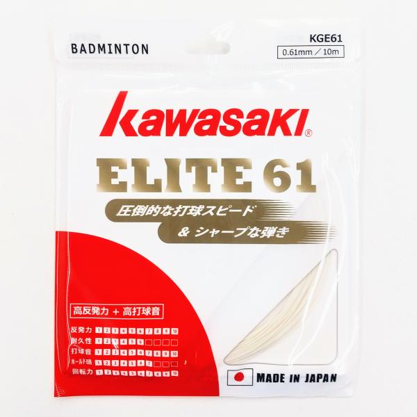 netintm_kawasaki-kge61