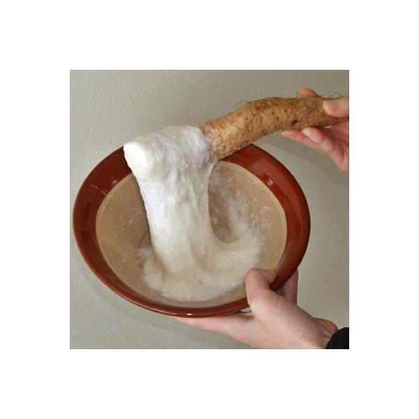 天然種だからうまさが違う！！「雪国育ちの自然薯」自然薯は純粋日本原産種です。 米よりも早く日本人の食べ物になったと言われる自然薯ですが、 これまでは栽培が難しいために生産量は少なく、なかなか手に入らなかった貴重品でした。 一般に出回っている...