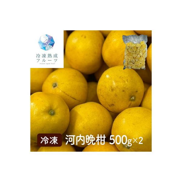 goya　k河内晩柑7kg×２箱ぐるりん 河内晩柑（家庭用）4．5kg｜郵便局のネットショップ