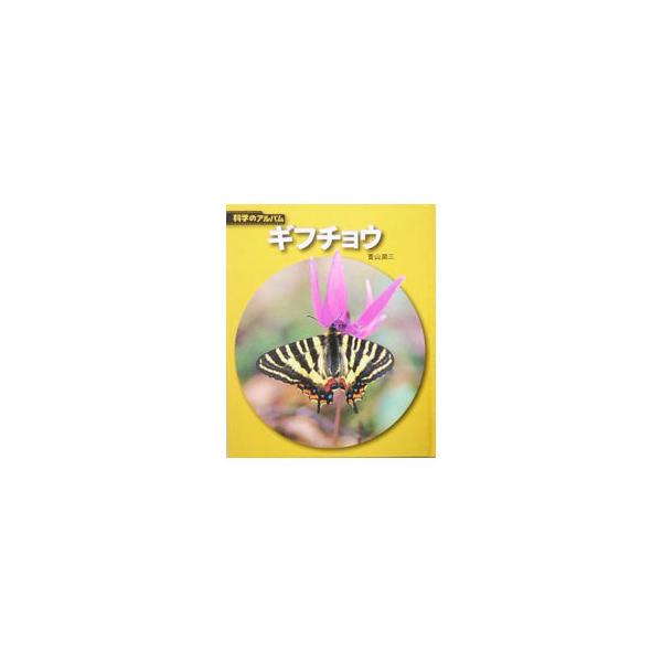 ギフチョウ／青山潤三