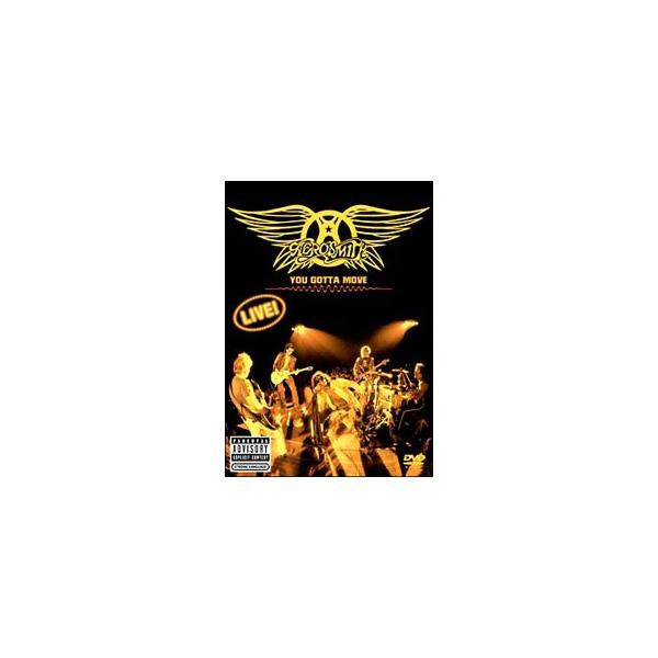 DVD／ＹＯＵ ＧＯＴＴＡ ＭＯＶＥ