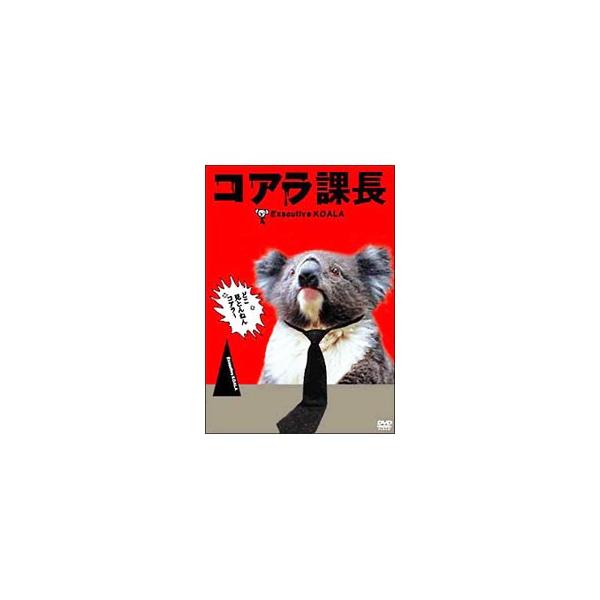 DVD／コアラ課長