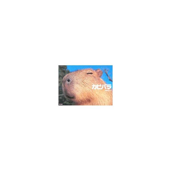 netoff2_t0010668800