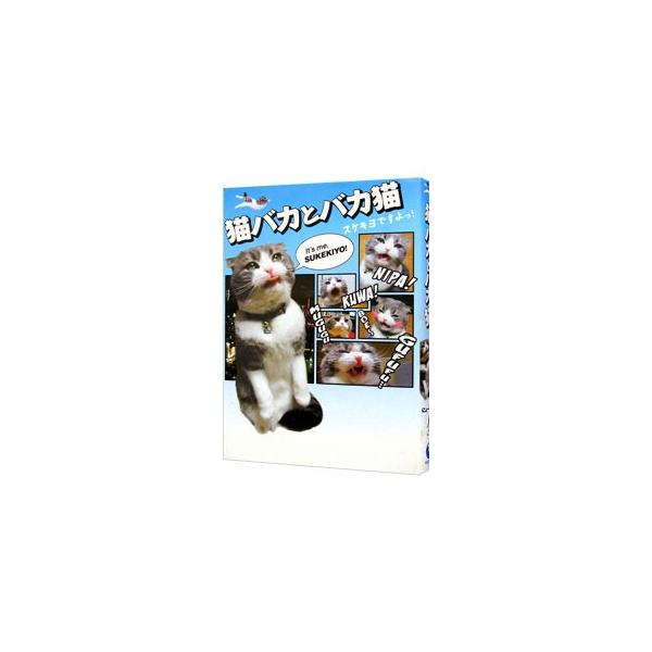 え？　普段の生活ですか？　いつも家でゴロゴロしてます。お腹が空いたらご飯食べて、気が向いたら遊ぶ、そんな毎日です…。ヘン顔名人（猫）「スケキヨ」が贈る、必要以上に笑える本。■カテゴリ：中古本■ジャンル：女性・生活・コンピュータ 猫の本■出版...