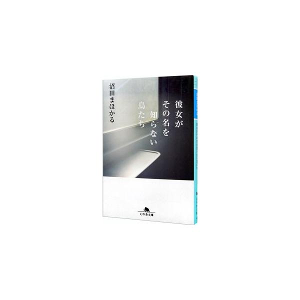 彼女がその名を知らない鳥たち／沼田まほかる