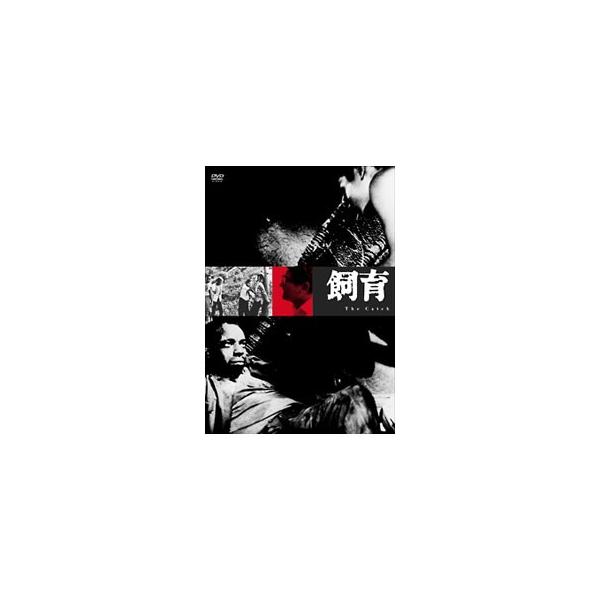 DVD／飼育