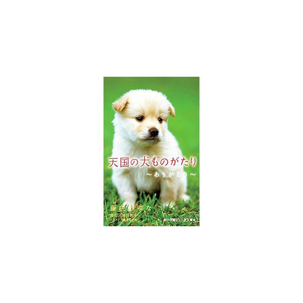雪は家の裏手で飼われていたモモを引き取ったが、２か月後にモモの具合が悪くなってしまい…。「かぞく」をはじめ、犬と人間の絆を綴った全４編を収録。Ｓｈｏ‐ＣｏｍｉＦＣ「天国の犬ものがたり」シリーズをノベライズ。■カテゴリ：中古本■ジャンル：料理...