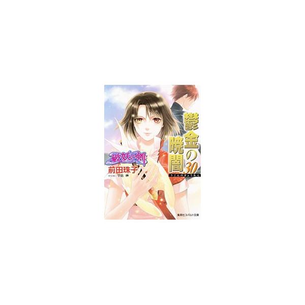 鬱金の暁闇−破妖の剣(6)− 30／前田珠子