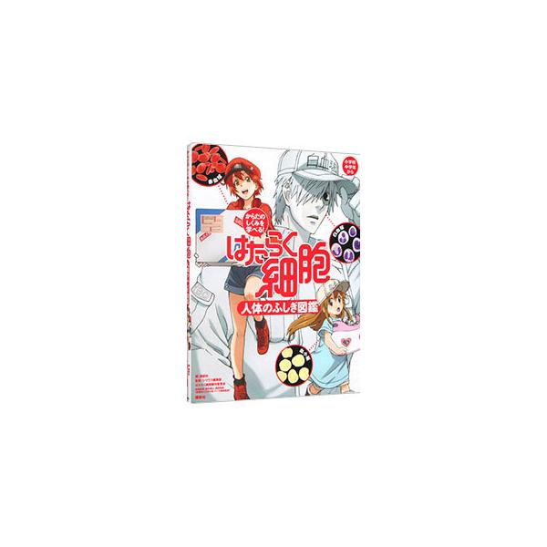 からだのしくみを学べる！はたらく細胞人体のふしぎ図鑑 からだのしくみを学べる! はたらく細胞 人体のふしぎ図鑑