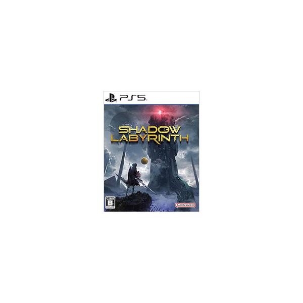 PS5／Shadow Labyrinth