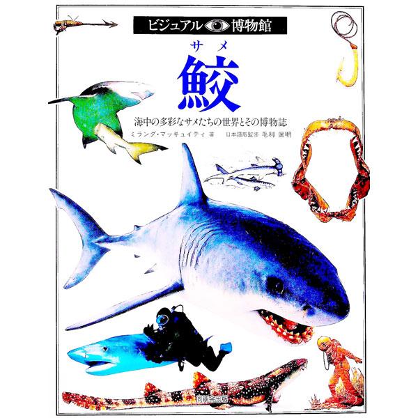 ■カテゴリ：中古本■ジャンル：産業・学術・歴史 図書館・読書その他■出版社：同朋舎出版■出版社シリーズ：■本のサイズ：単行本■発売日：1993/07/01■カナ：ビジュアルハクブツカンダイ４０カン リリーフシステムズ