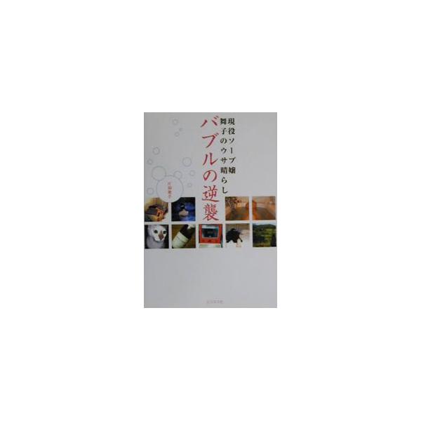 バブルの逆襲／片桐舞子