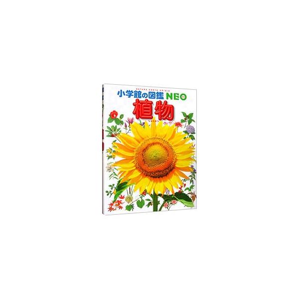 新しい植物分類學2/講談社/戸部博（単行本（ソフトカバー
