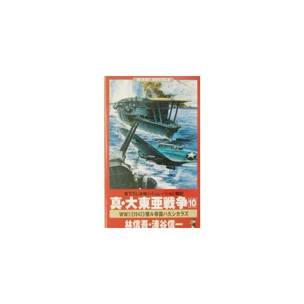 真・大東亜戦争 10／清谷信一