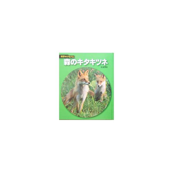 森のキタキツネ／右高英臣