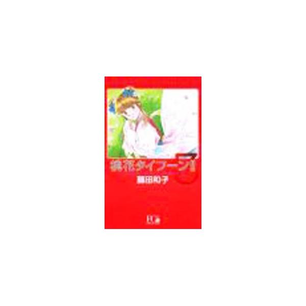 桃花（ももか）タイフーン 3／藤田和子