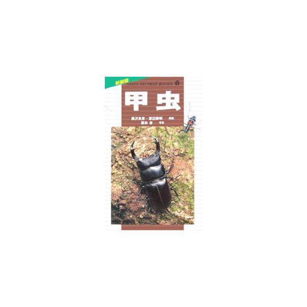 甲虫／黒沢良彦