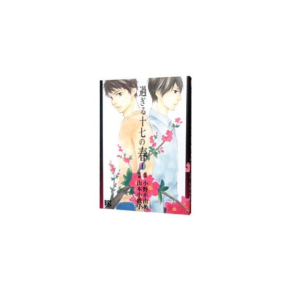 過ぎる十七の春 1／山本小鉄子
