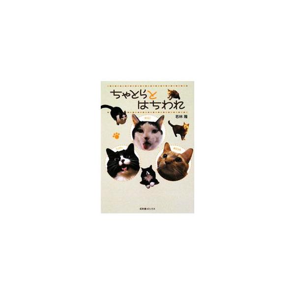 ちょっと動きがのんびりだけど１番のおにいちゃん猫・モカと、人懐っこいが常にぼーっとしているぽっぽ、ササミ大好きササミ至上主義のムギ、そして里子に出るまでの子猫たちが繰り広げるドタバタ劇！　同名ブログを書籍化。■カテゴリ：中古本■ジャンル：女...