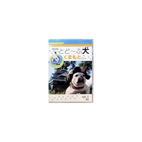 DVD／とど〜ふ犬 くまもとけん
