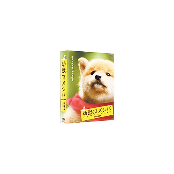 DVD／幼獣マメシバ DVD−BOX : ネットオフ ヤフー店 - 通販 - Yahoo