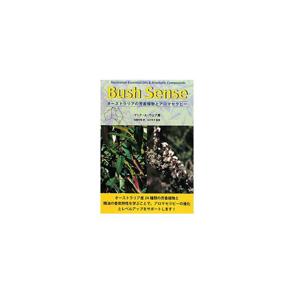 Bush Sense／WebbMark A．